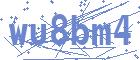 captcha not loaded